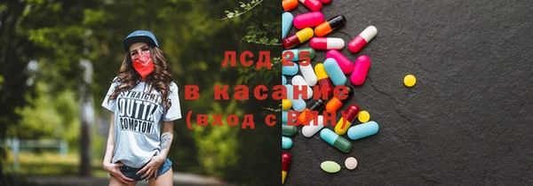 PSILOCYBIN Новозыбков