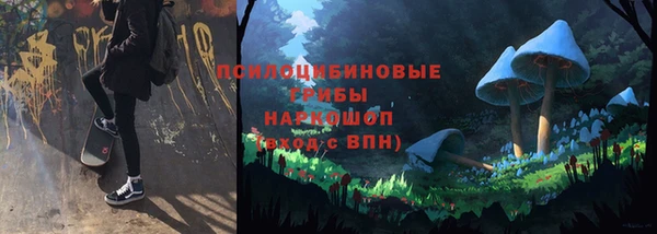 спайс Нея