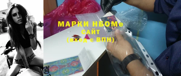 PSILOCYBIN Новозыбков