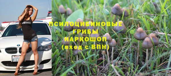 PSILOCYBIN Новозыбков