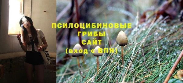 синтетический гашиш Новодвинск